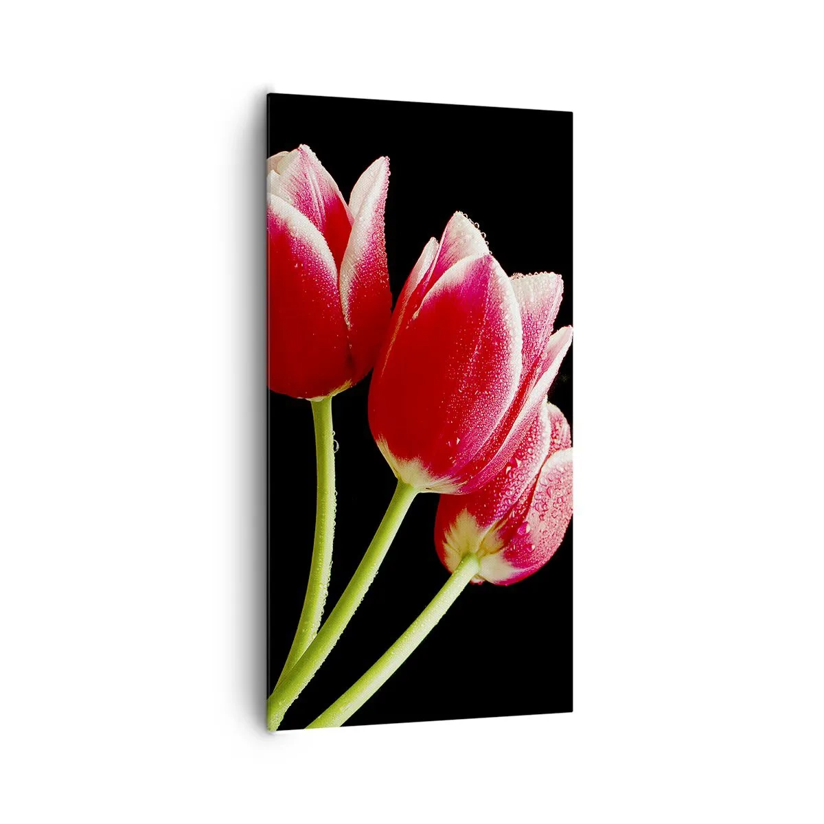 Canvas picture - Promise of Pure Love - 65x120 cm