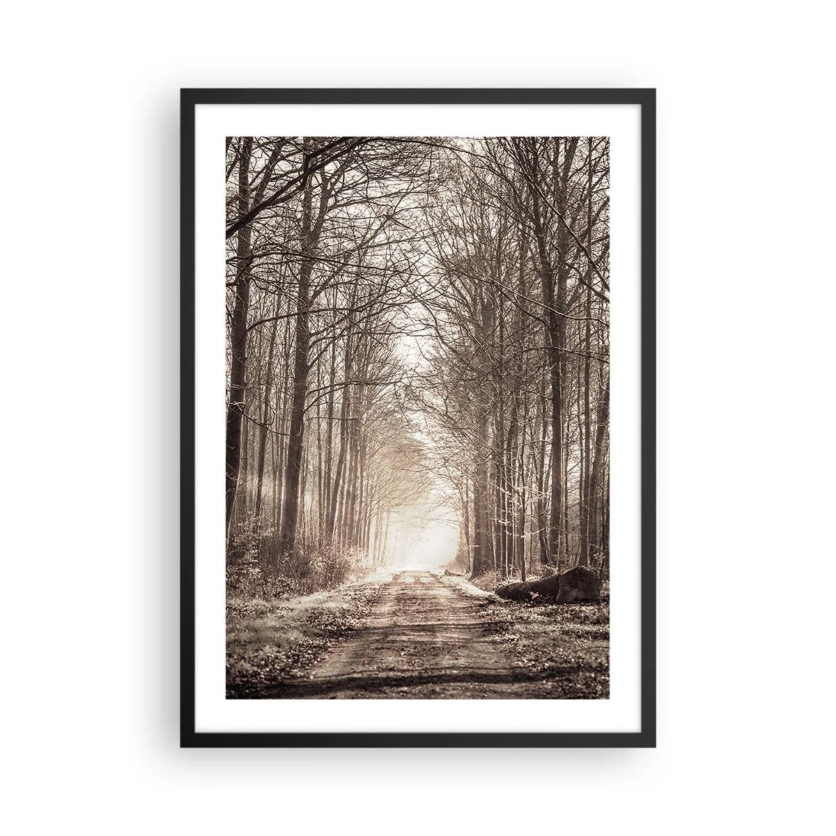 Poster in black frame - forest path in autumnal sepia tones - 50x70cm - Cathedral of the Forest - Modern wall decoration for the living room and bedroom ARTTOR