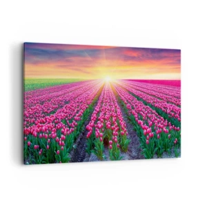 Canvas picture - Beauty Farm - 100x70 cm