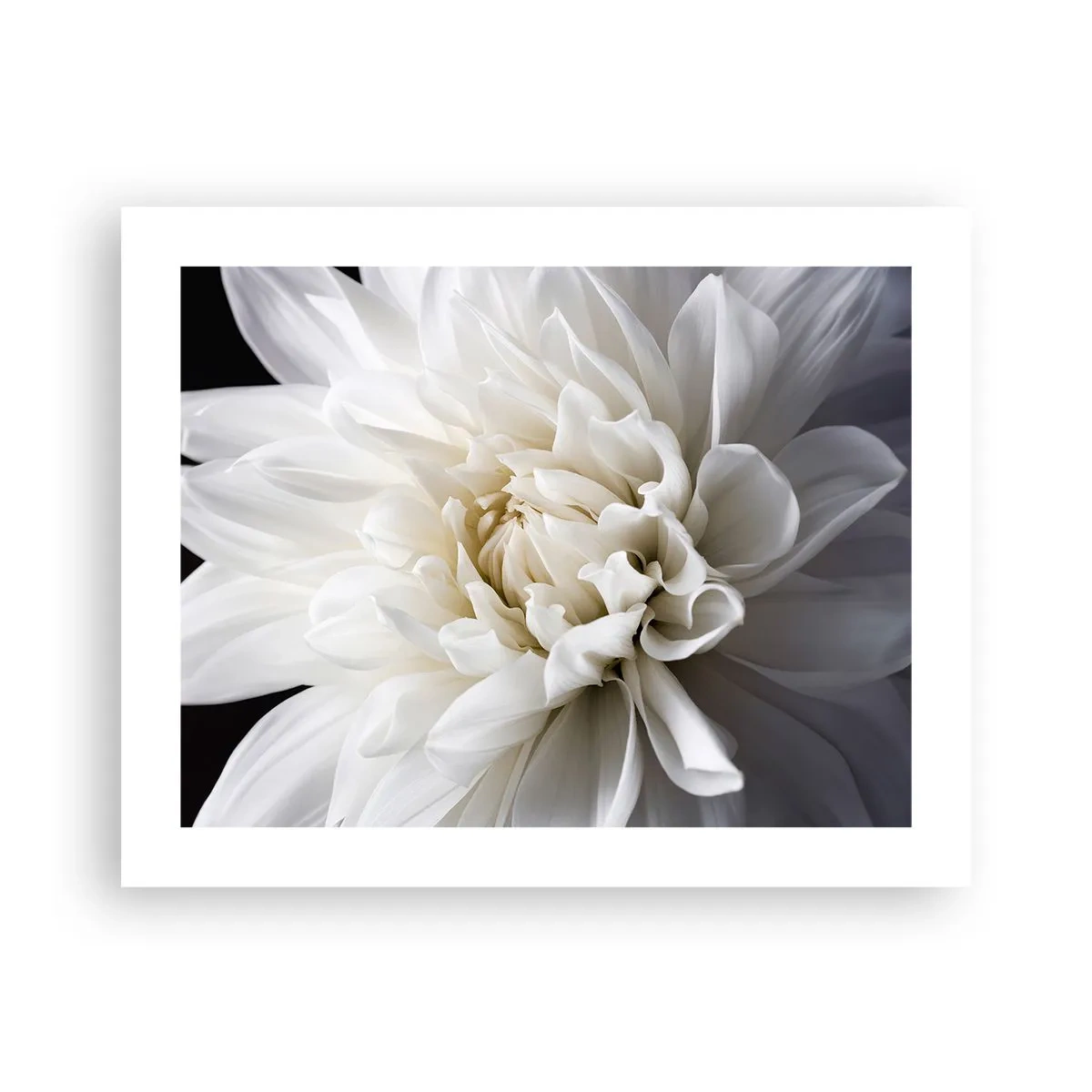 Poster - Bride's Morning - 50x40 cm