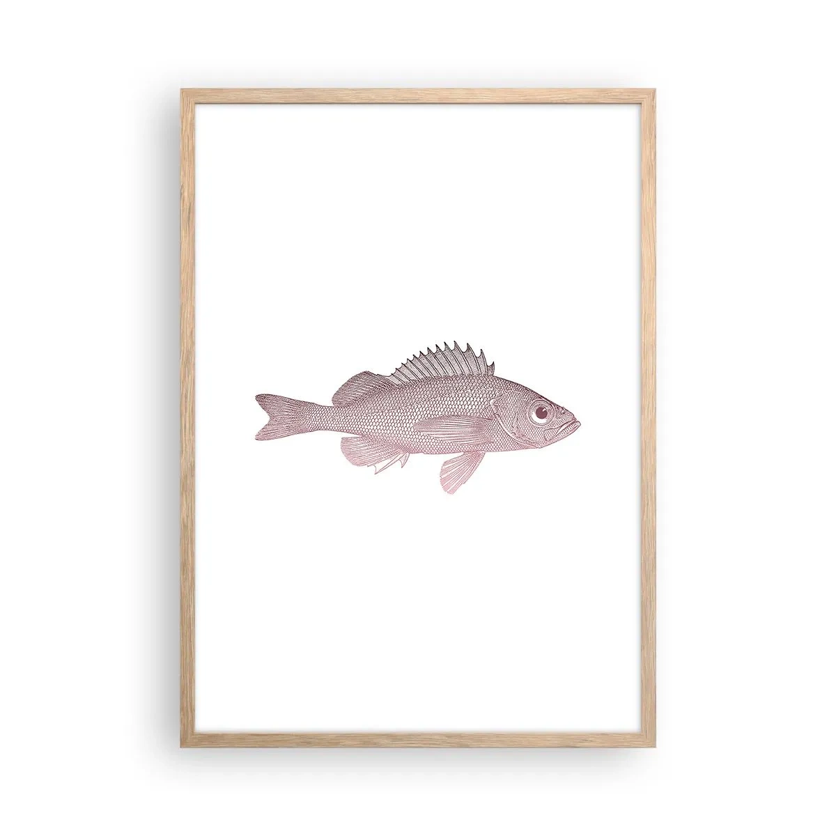 Poster in light oak frame - Big-eyed Fish - 50x70 cm