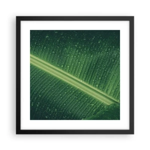 Poster in black frame - Structure of Green - 40x40 cm