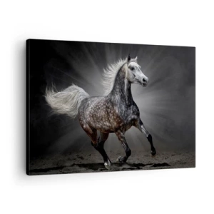 Canvas picture - A white horse galloping against a dark background - 70x50cm - Grey Is Beautiful - Modern wall decoration for the living room and bedroom ARTTOR