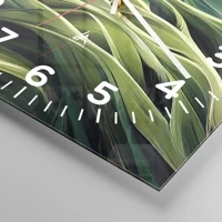 Clock face with numbers