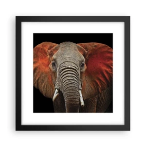 Poster in black frame - I am Wild, and You? - 30x30 cm