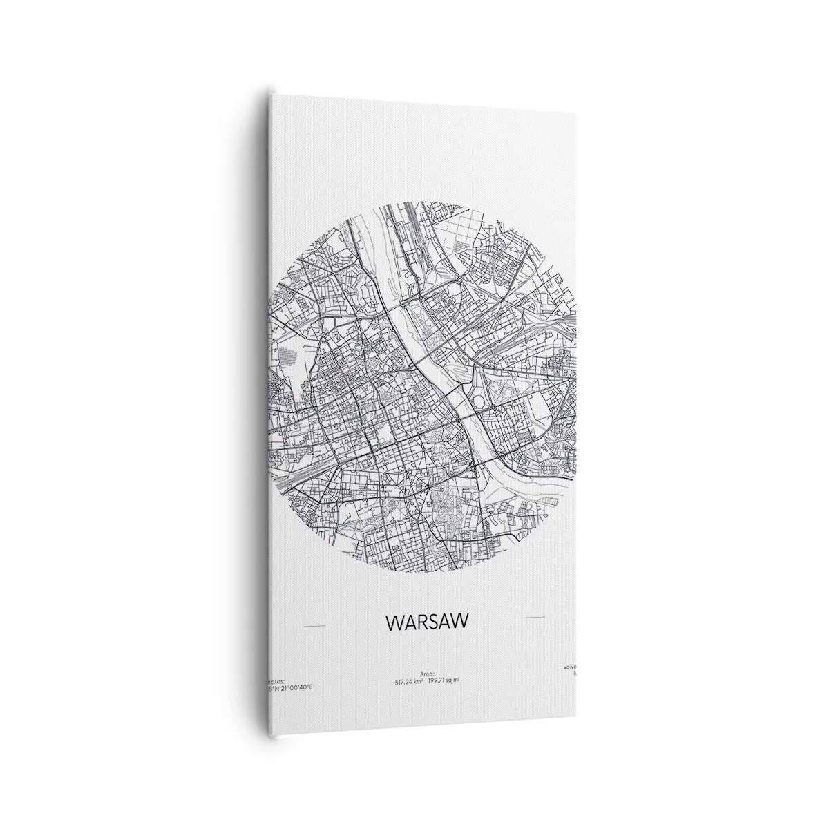 Canvas picture - Anatomy of Warsaw - 65x120 cm