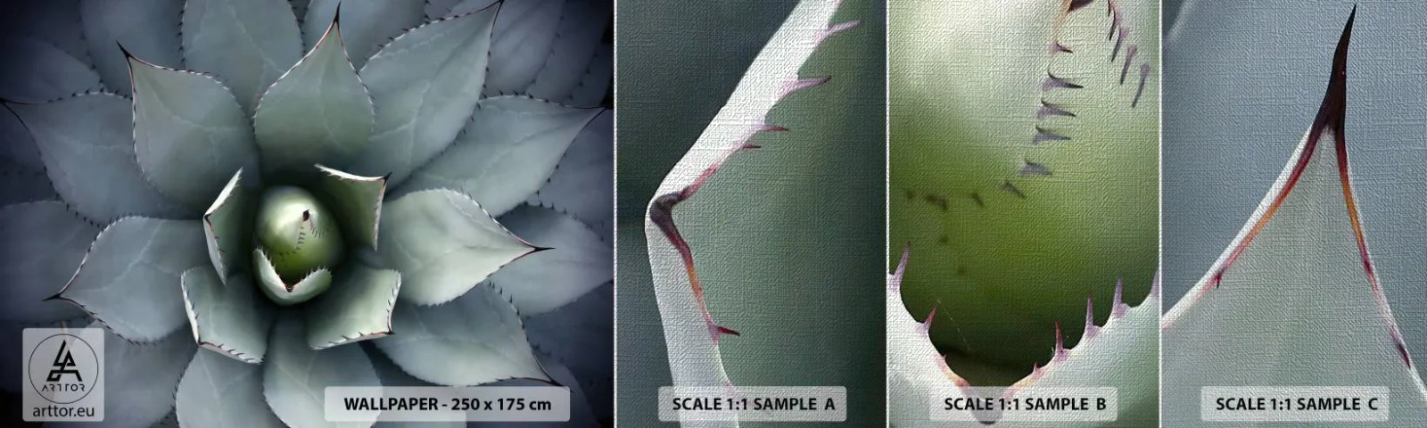 Photo Wallpaper Sample Premium Canvas - Attracts and Warns - Agave flower, Agave, Exoticism - 100x30 cm