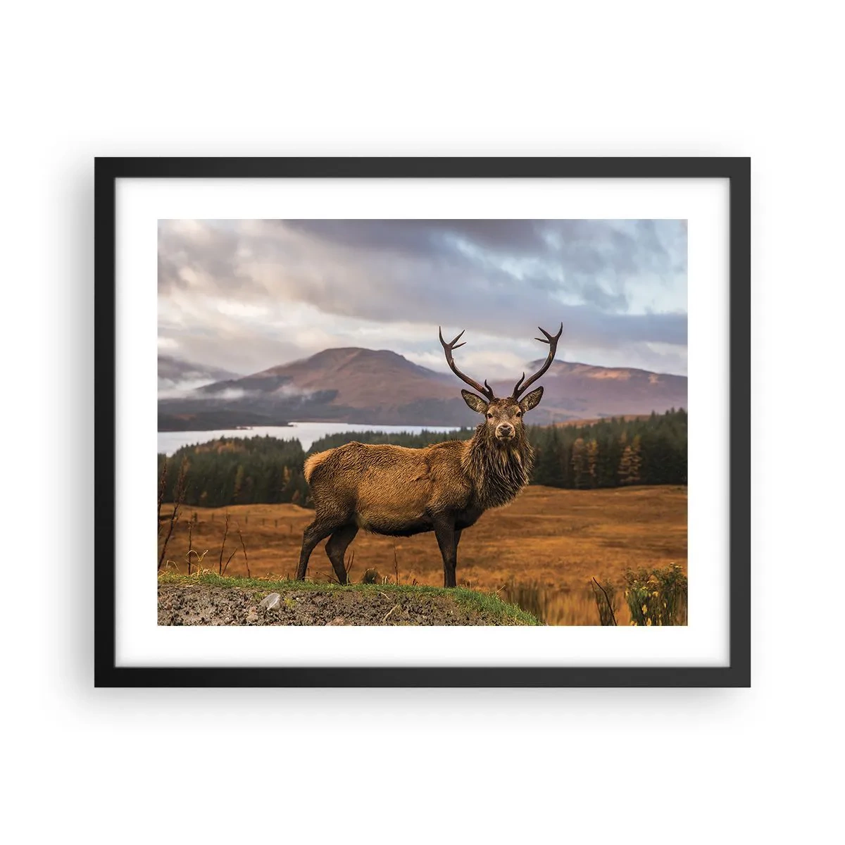 Poster in black frame - Majesty of Nature - 50x40 cm