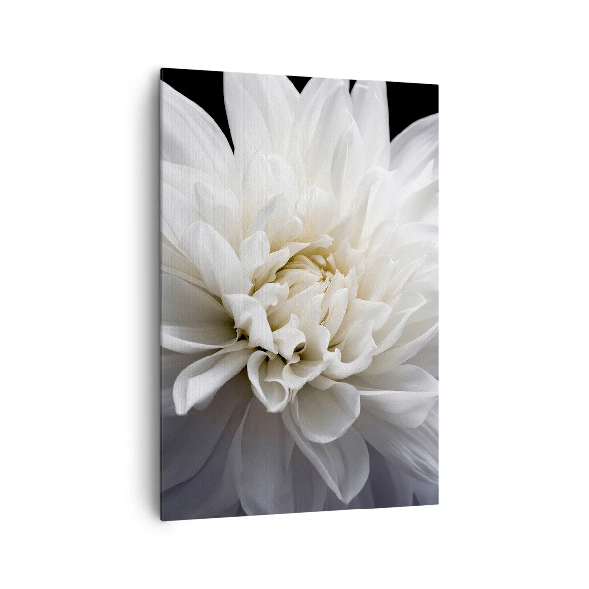 Canvas picture - Bride's Morning - 70x100 cm