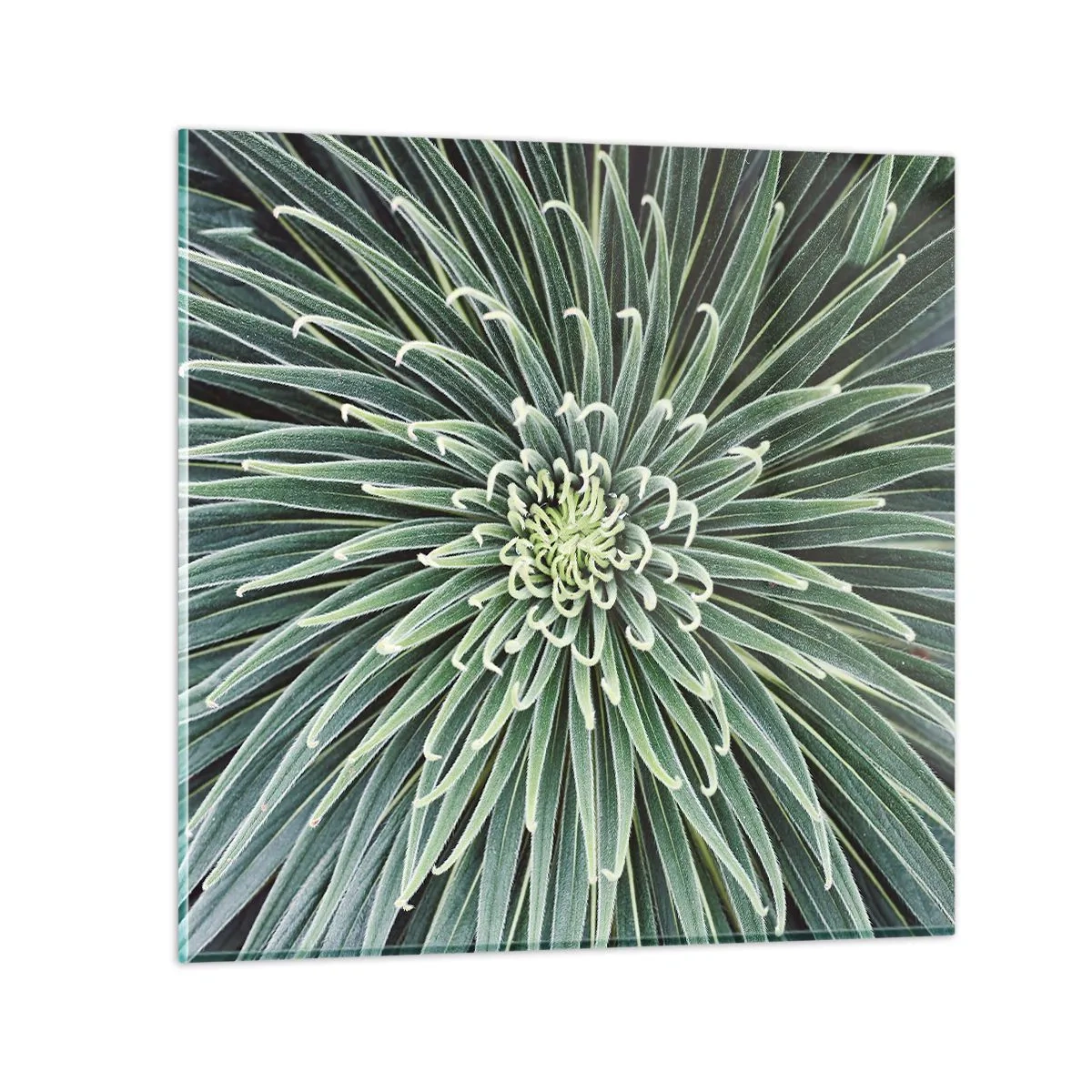 Glass picture - Birth of a Star - 60x60 cm