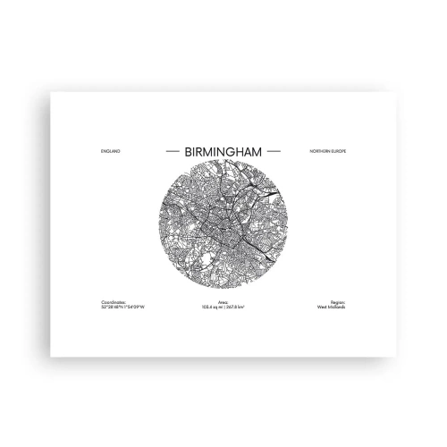 Poster - Anatomy of Birmingham - 40x30 cm