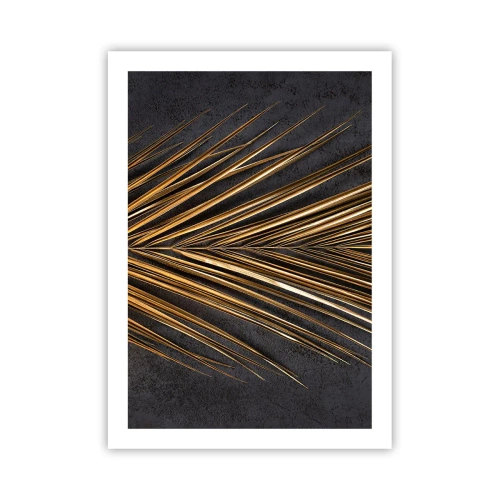 Poster - Gold of the Tropics - 50x70 cm