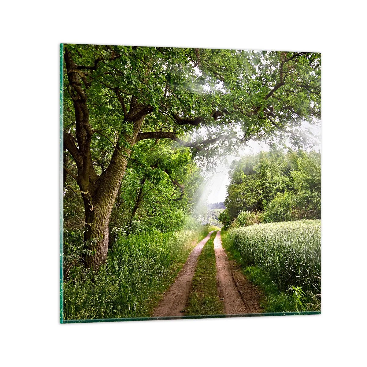Glass picture - Et in Arcadia Ego - 60x60 cm