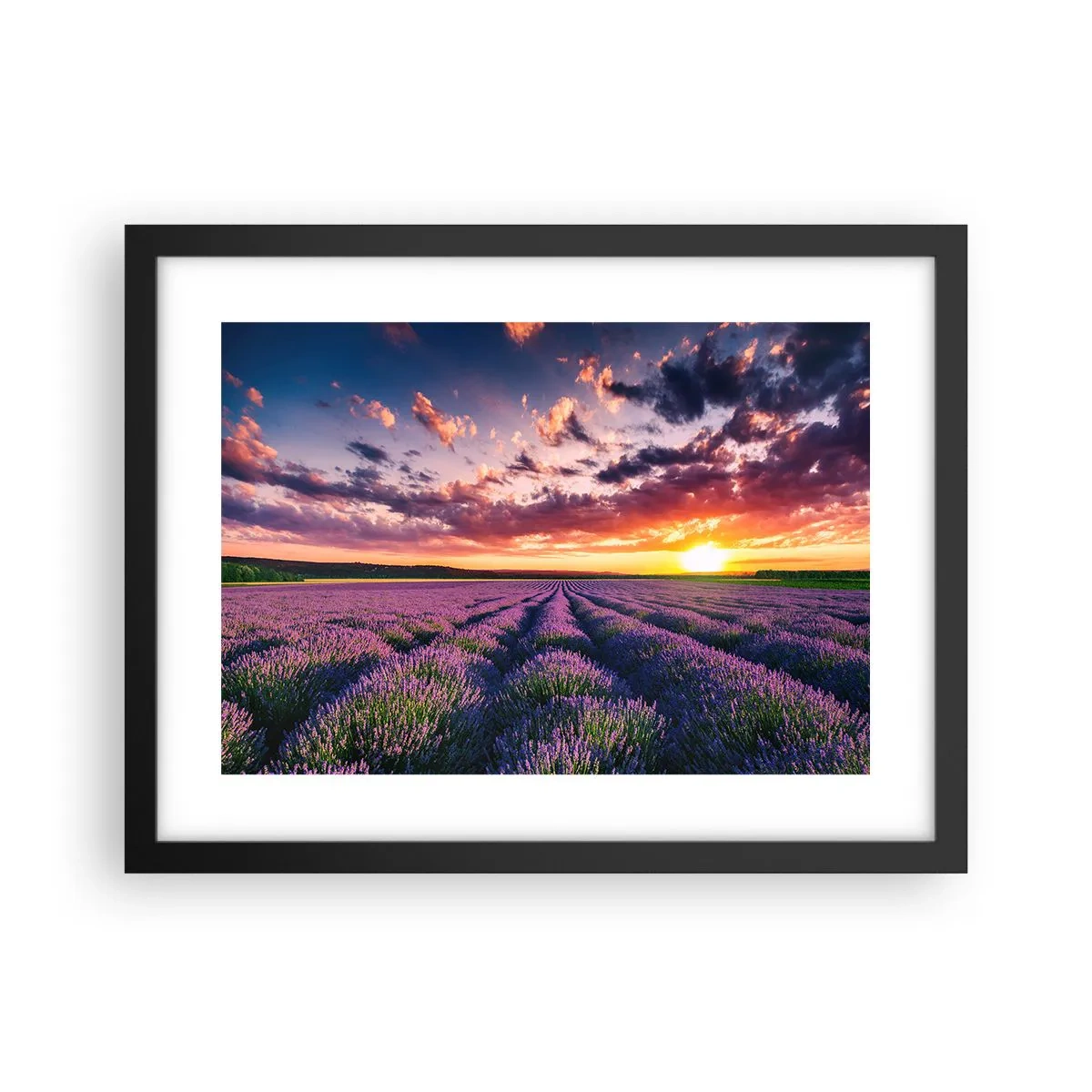 Poster in black frame - Lavender World - 40x30 cm