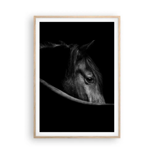 Poster in light oak frame - Black Prince - 70x100 cm