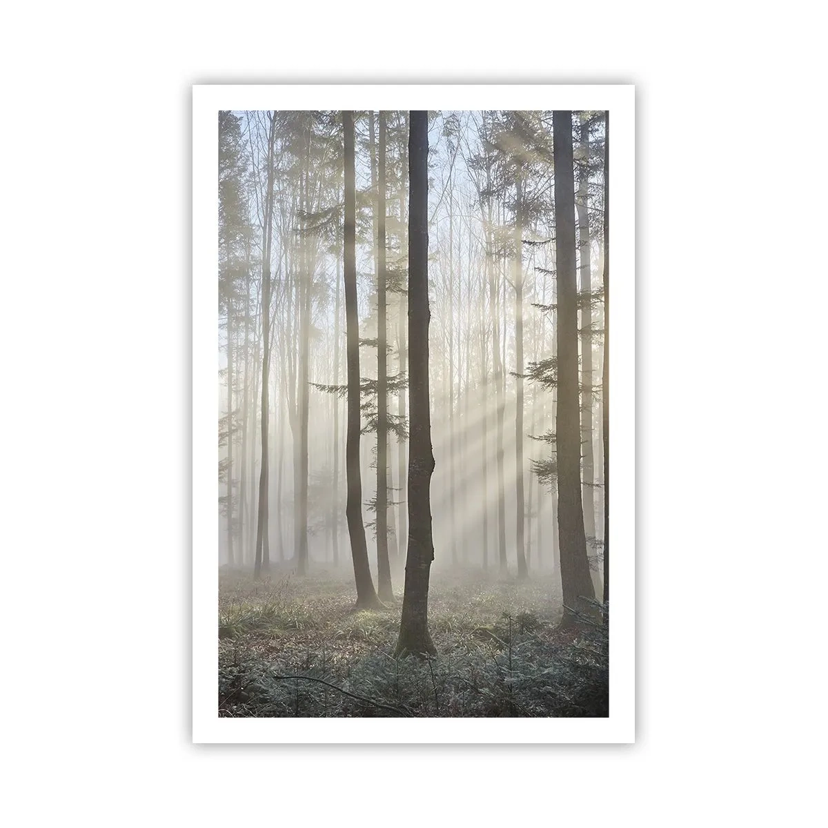 Poster - Fog Has Woken up Too - 61x91 cm