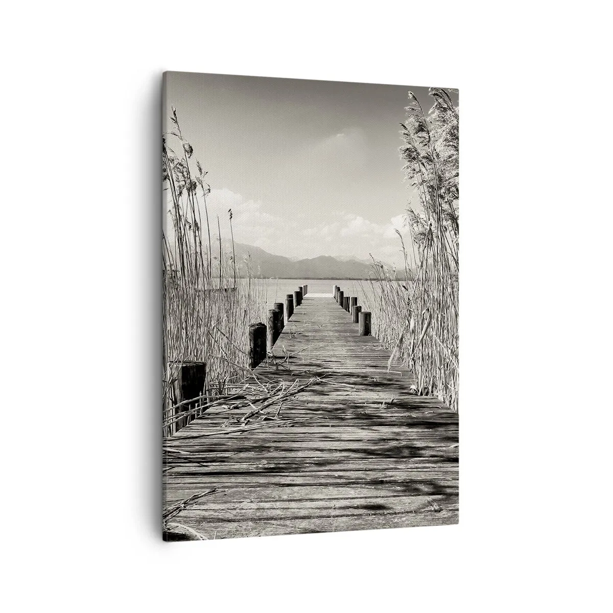 Canvas picture - In the Grass - 50x70 cm