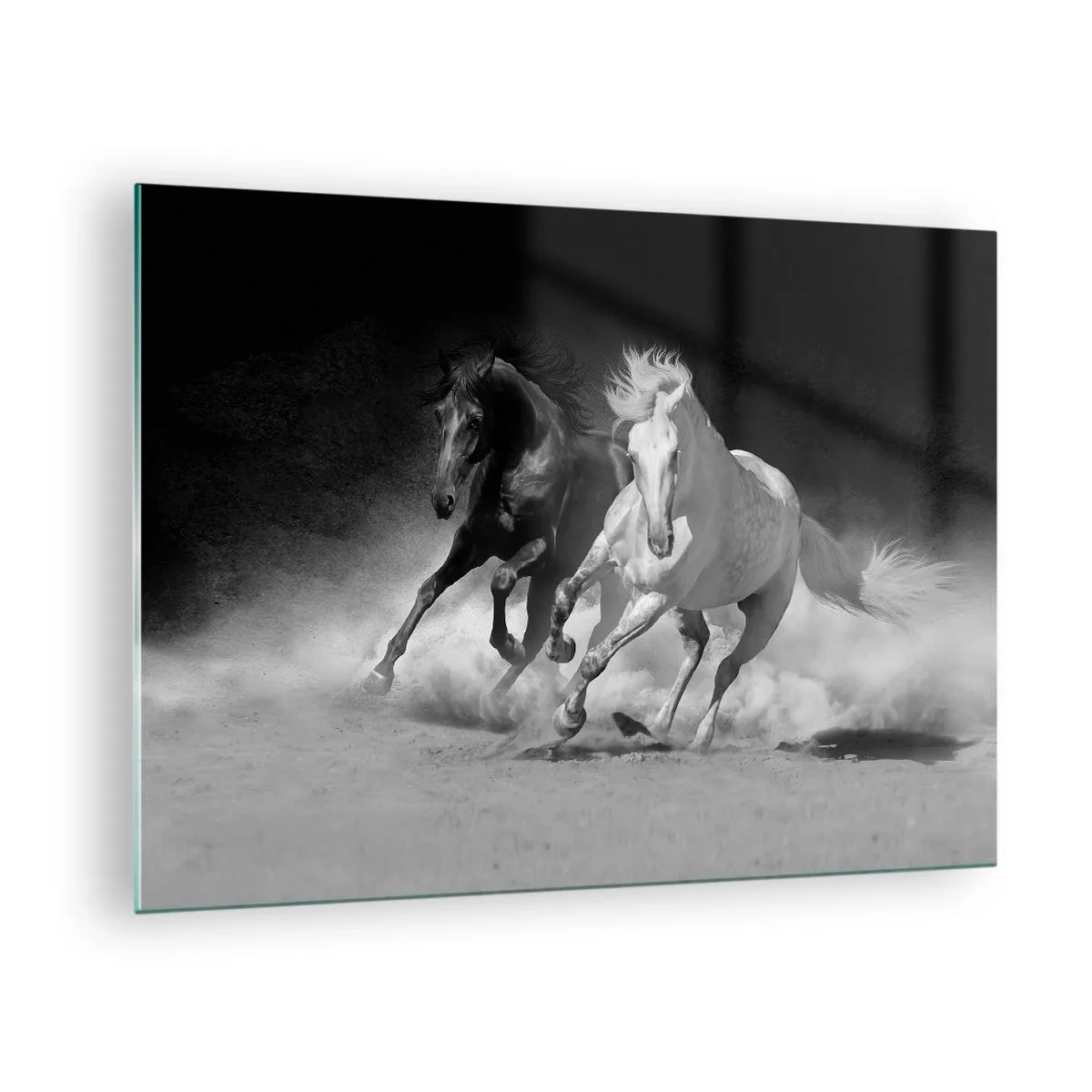 Glass picture - Running horses in black and white - 70x50cm - Gallop of Freedom - Modern wall decoration for the living room and bedroom ARTTOR