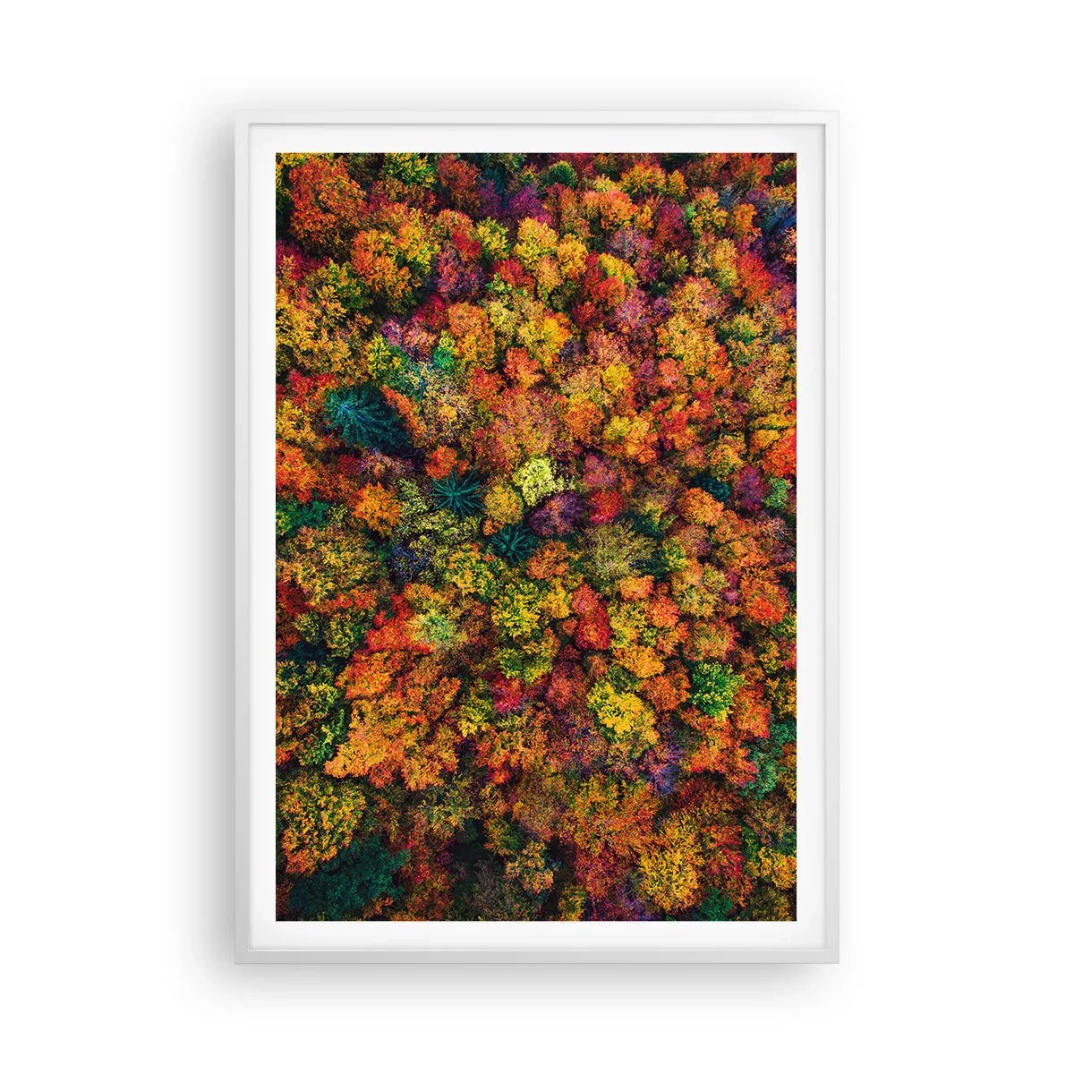 Poster in white frmae - Bouquet of Autumn Flowers - 70x100 cm