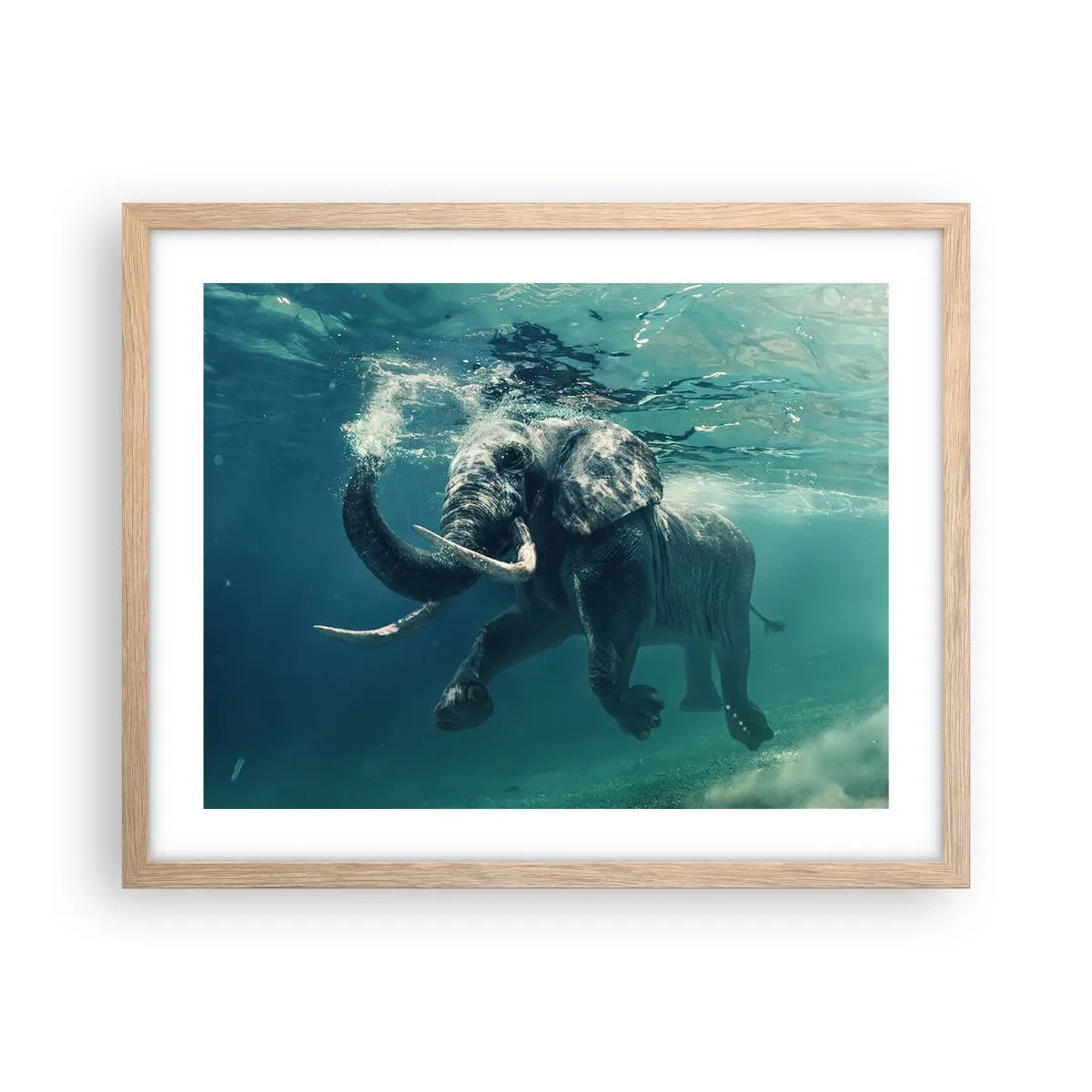 Poster in light oak frame - Everyone Likes to Swim - 50x40 cm