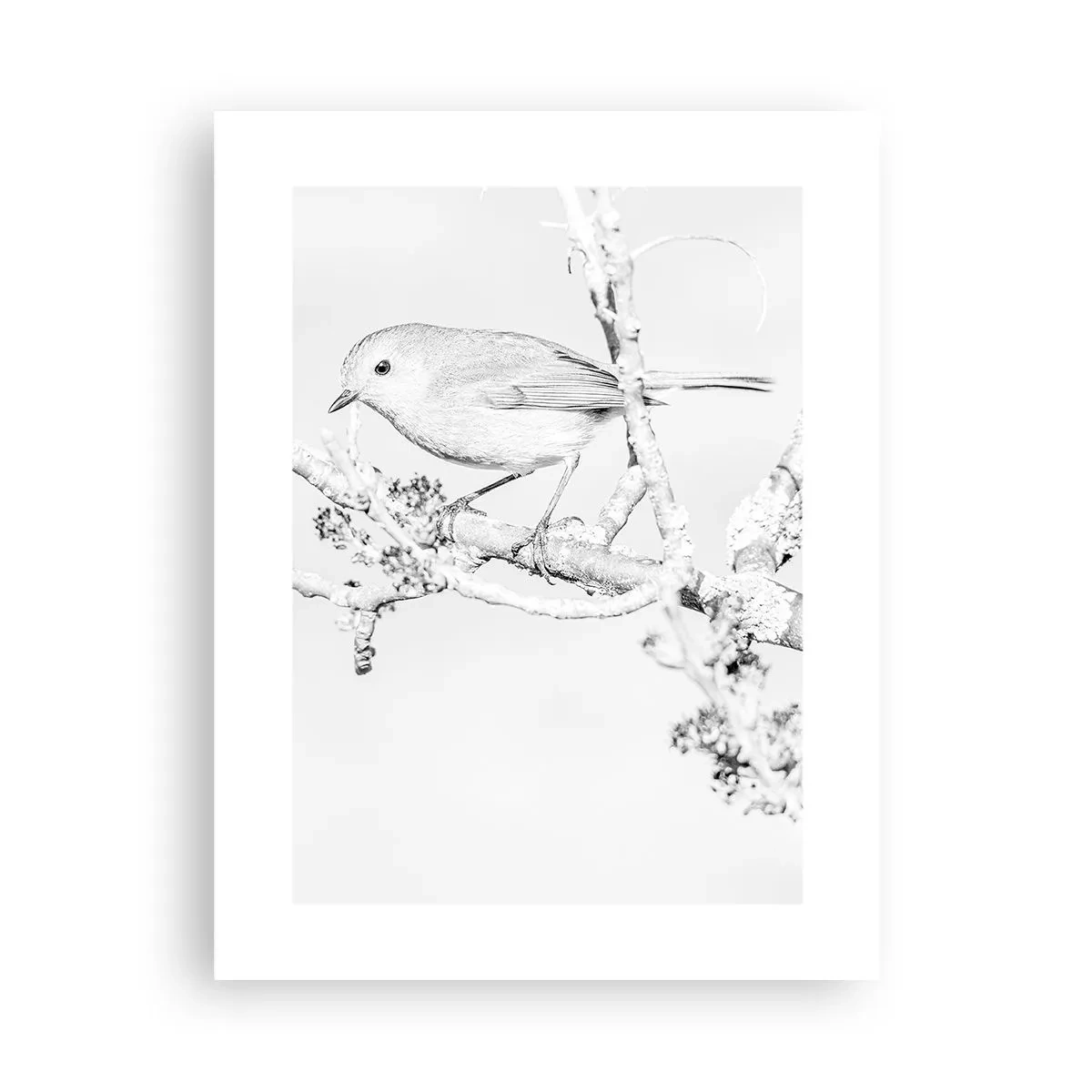 Poster - Winter Morning - 30x40 cm