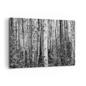 Canvas picture - Birch Colonnade - 120x80 cm