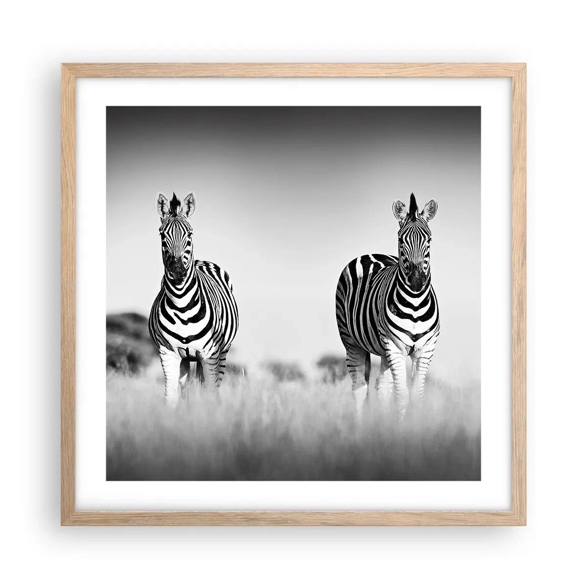 Poster in light oak frame - After All the World is Black and White - 50x50 cm