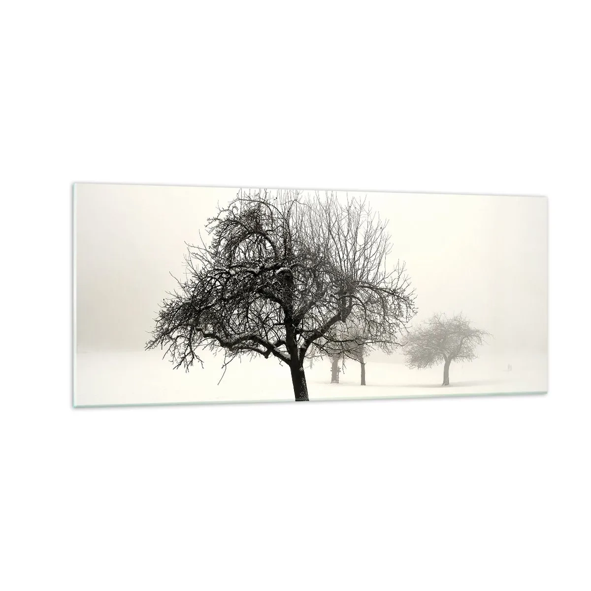 Glass picture - Winter Dream - 100x40 cm