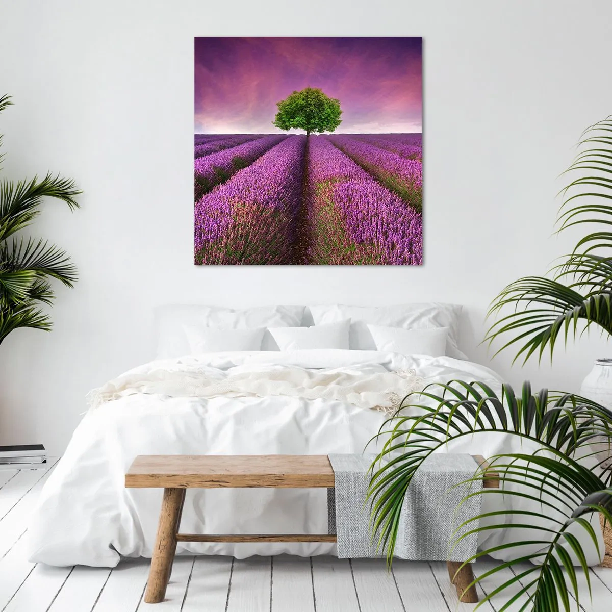 Canvas picture - In the Fields of Lavender - 30x30 cm
