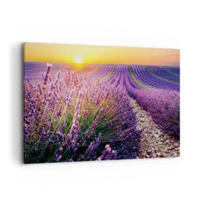 Canvas picture - Fragrant Field - 120x80 cm