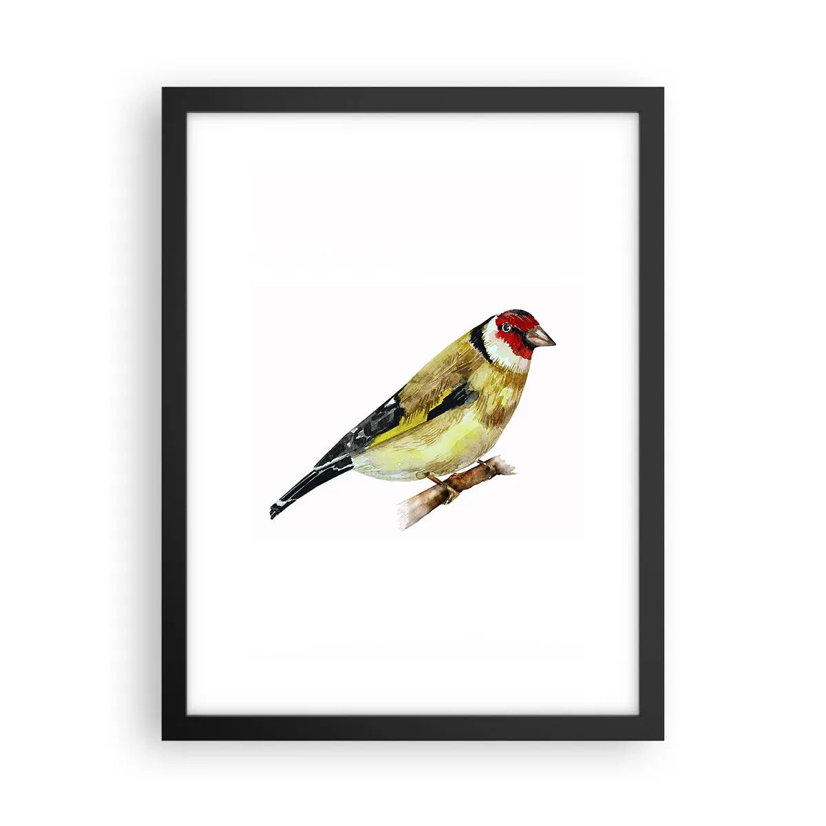 Poster in black frame - Bird Portrait - 30x40 cm