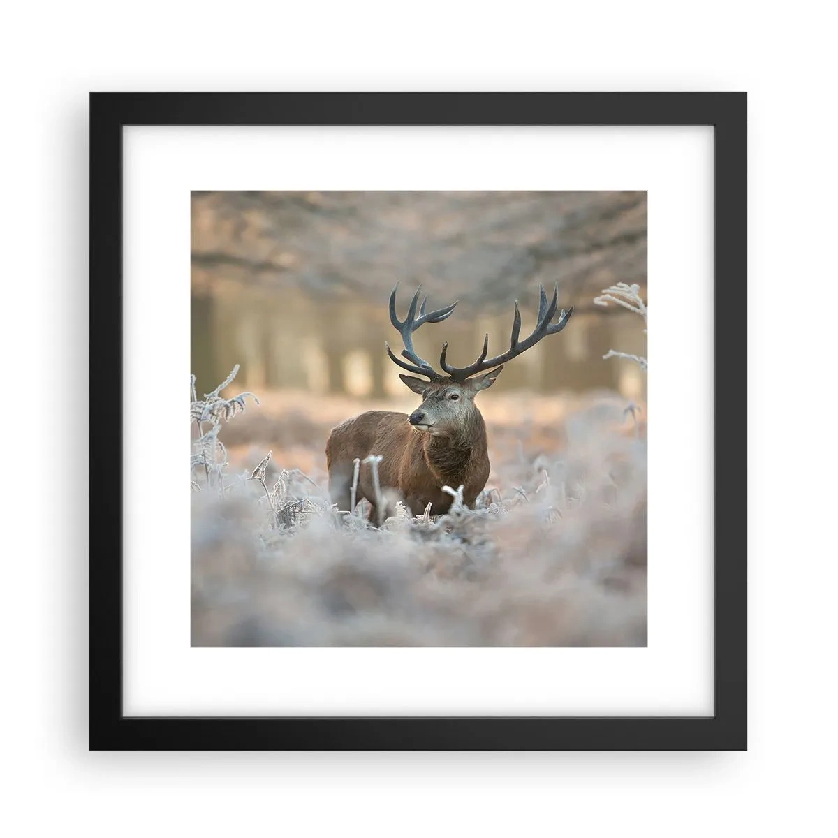 Poster in black frame - Chilly Morning - 30x30 cm