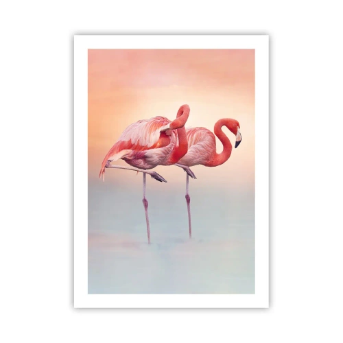 Poster - In the Colour Of Sunset - 50x70 cm