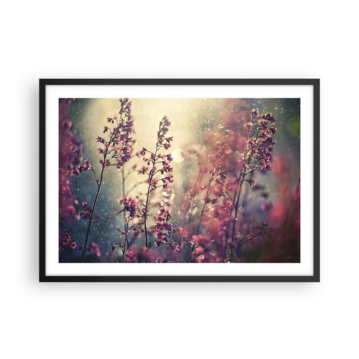 Poster in black frame - Secret Garden - 70x50 cm
