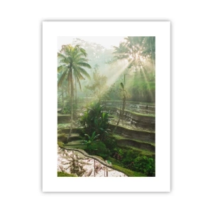 Poster - Maturing in the Sun - 30x40 cm