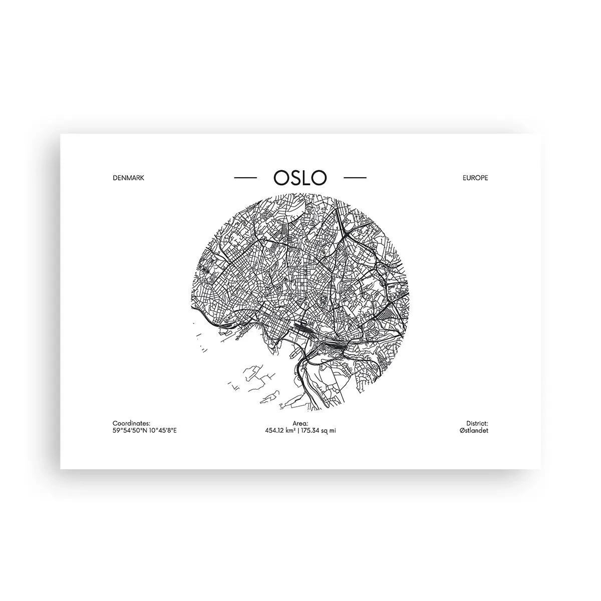 Poster - Anatomy of Oslo - 100x70 cm