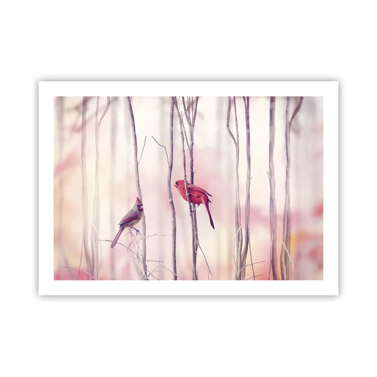Poster - Tale of a Pink Forest - 70x50 cm