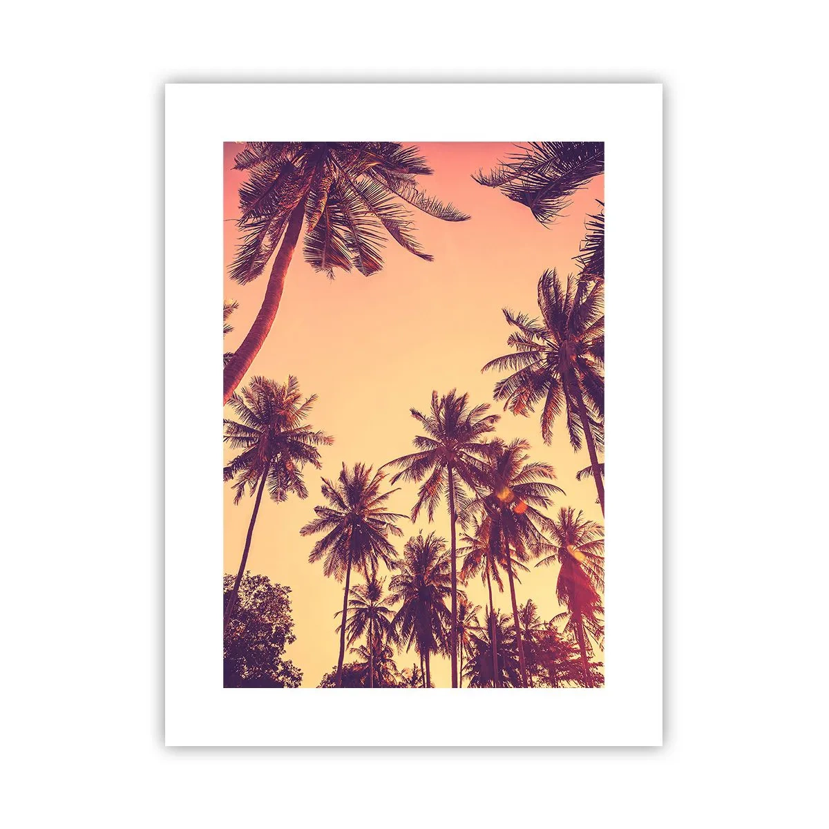 Poster - Tropical Variation - 30x40 cm