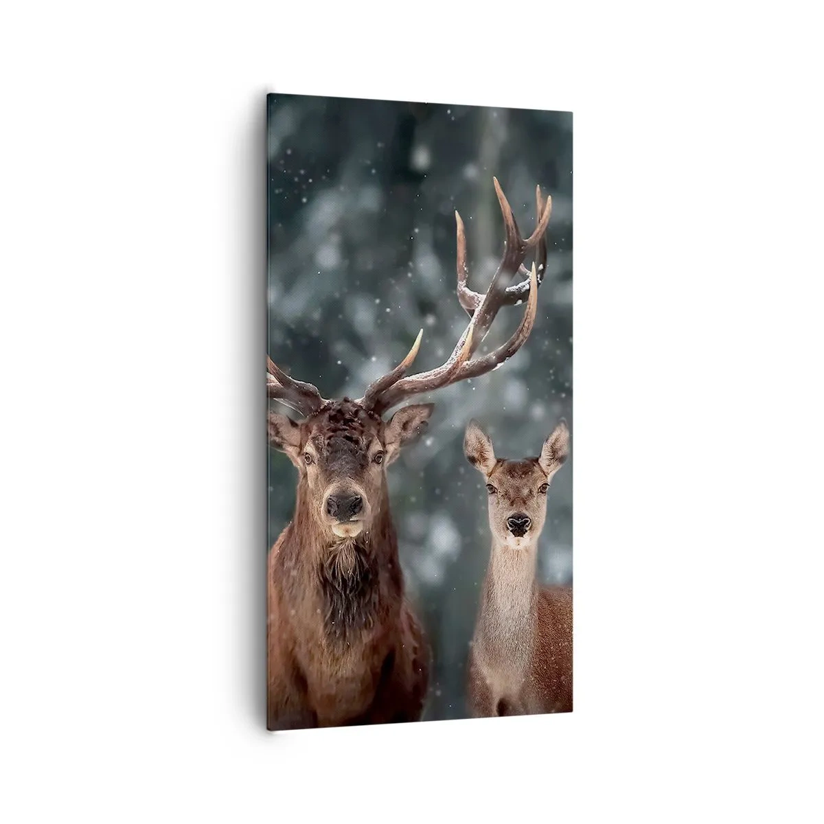 Canvas picture - Master of the Forest with His Wife - 65x120 cm