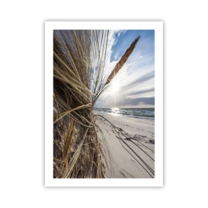 Poster - Enounter of the Elements - 50x70 cm