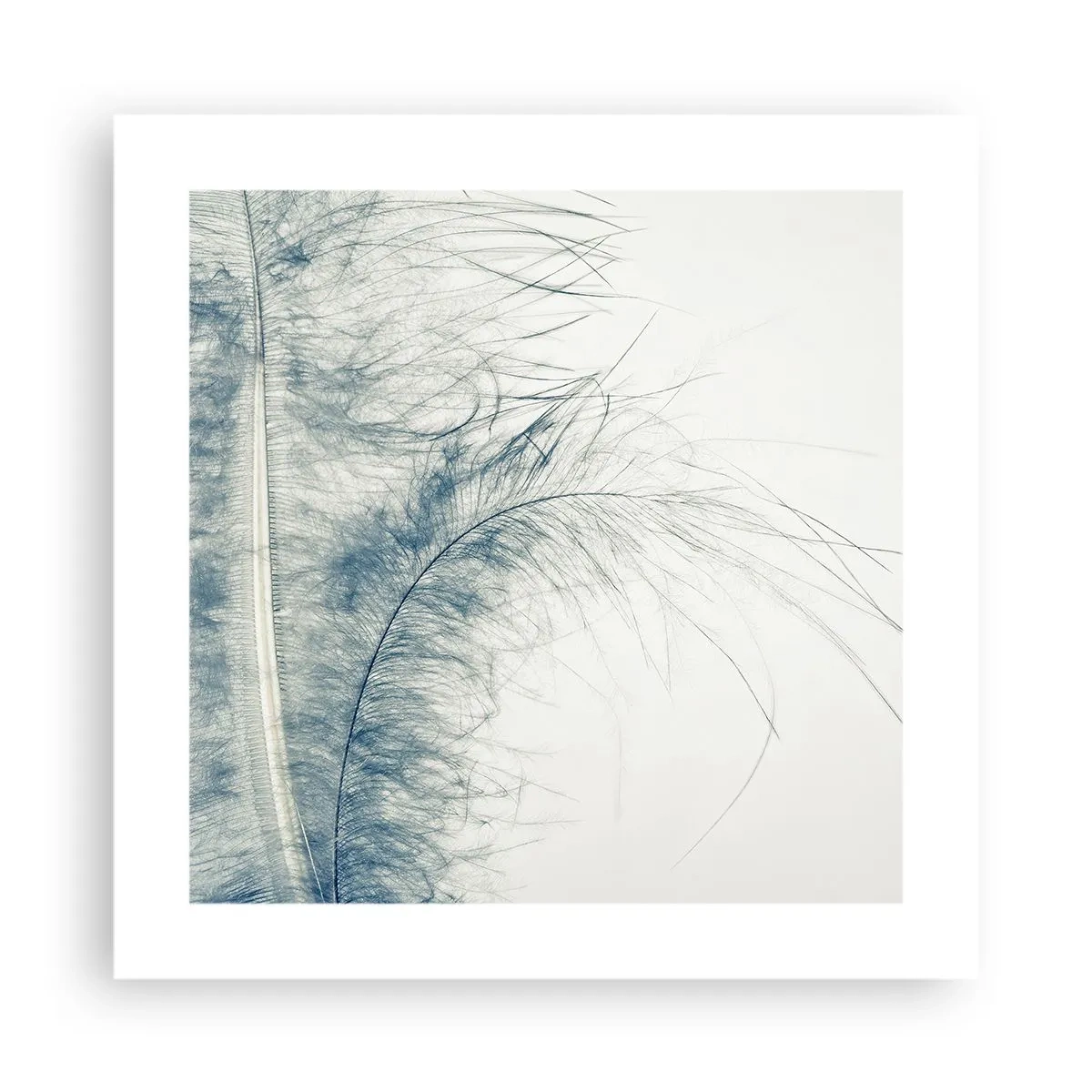 Poster - Whisper of Nature - 40x40 cm