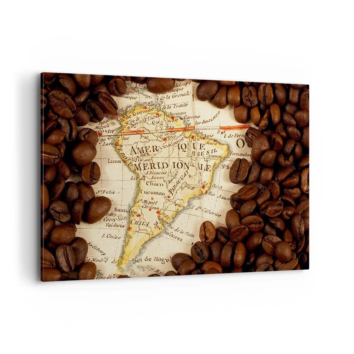 Canvas picture - Where Does the Best Coffee Come from? - 120x80 cm