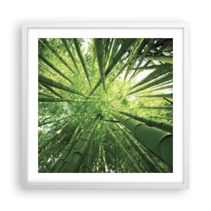 Poster in white frmae - In a Bamboo Forest - 50x50 cm