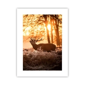 Poster - Hunter's Dream - 30x40 cm