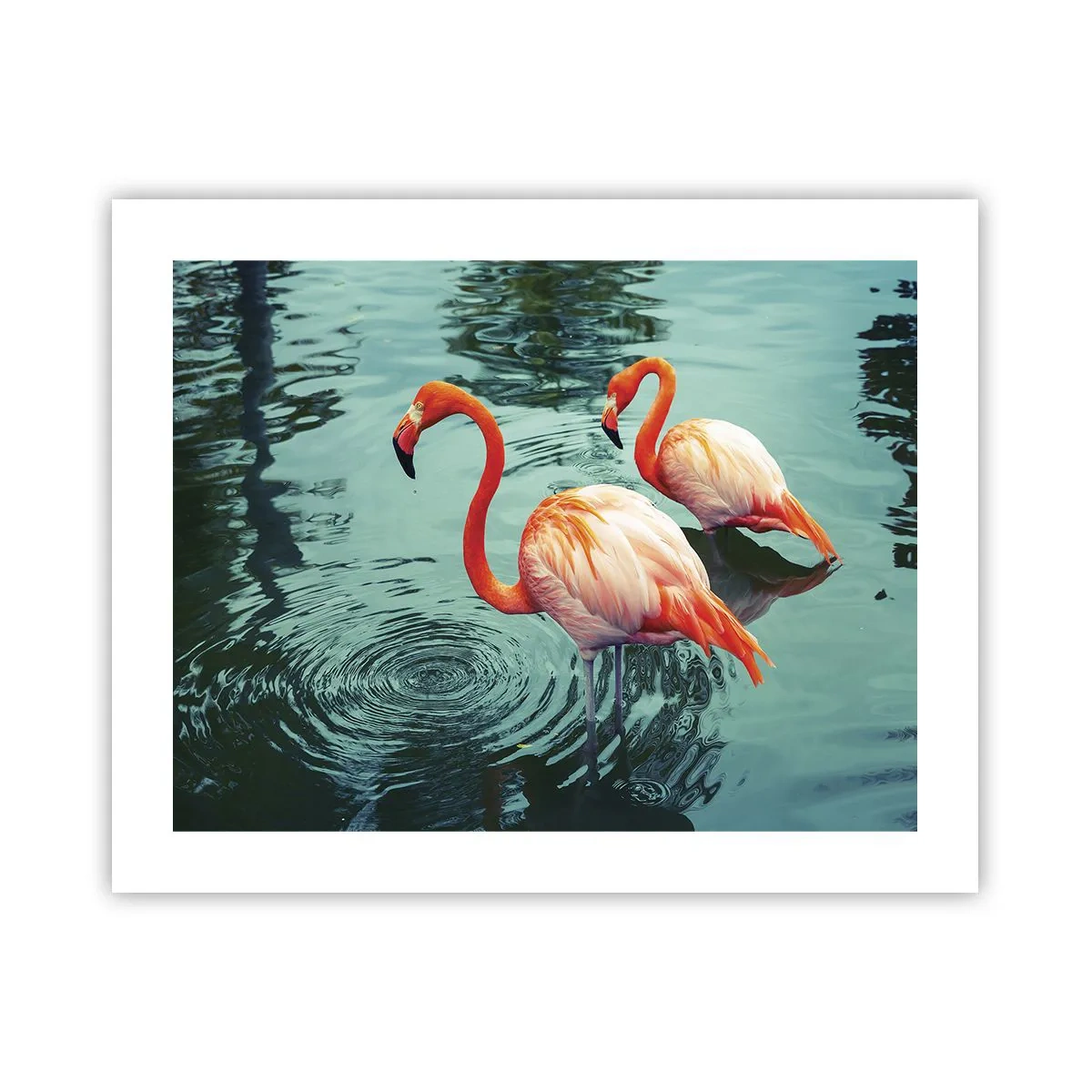 Poster - We Are En Vogue Now - 50x40 cm