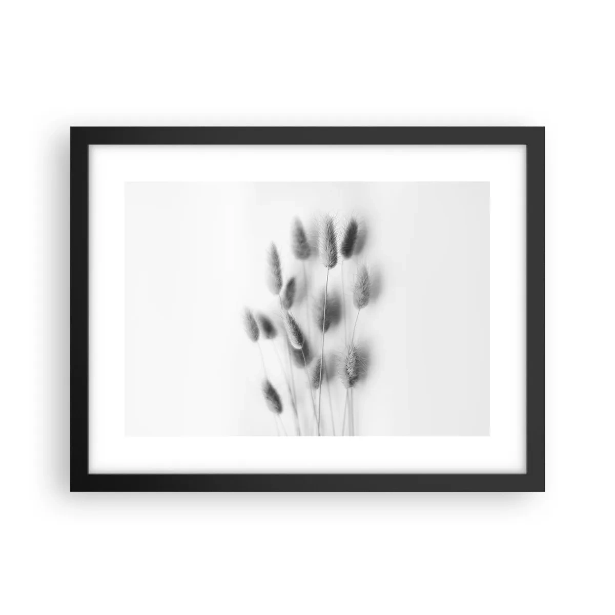 Poster in black frame - Her Softness Grass - 40x30 cm