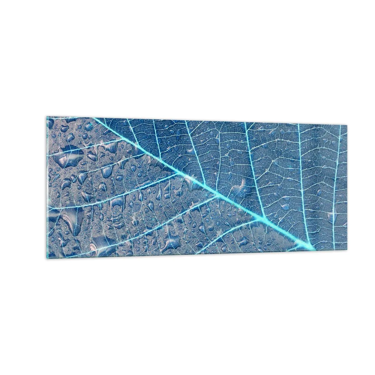 Glass picture - Life in the Blue - 100x40 cm