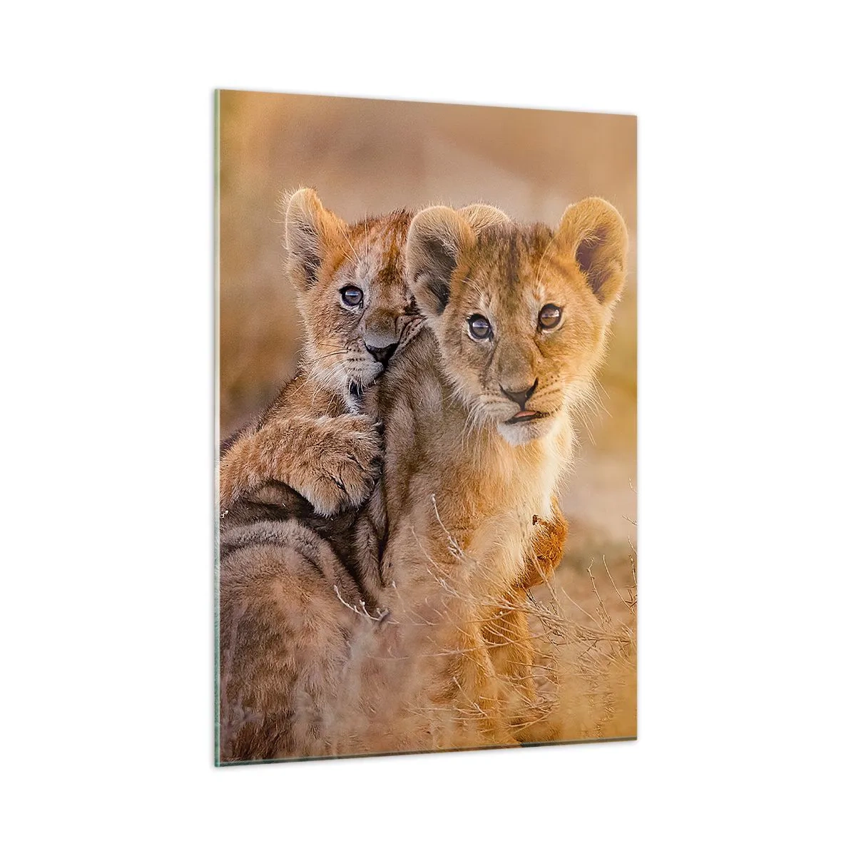 Glass picture - Do Not Disturb! We Are Playing - 50x70 cm