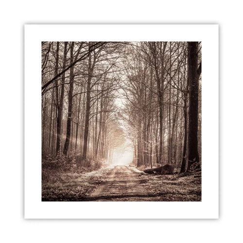 Poster - Cathedral of the Forest - 40x40 cm