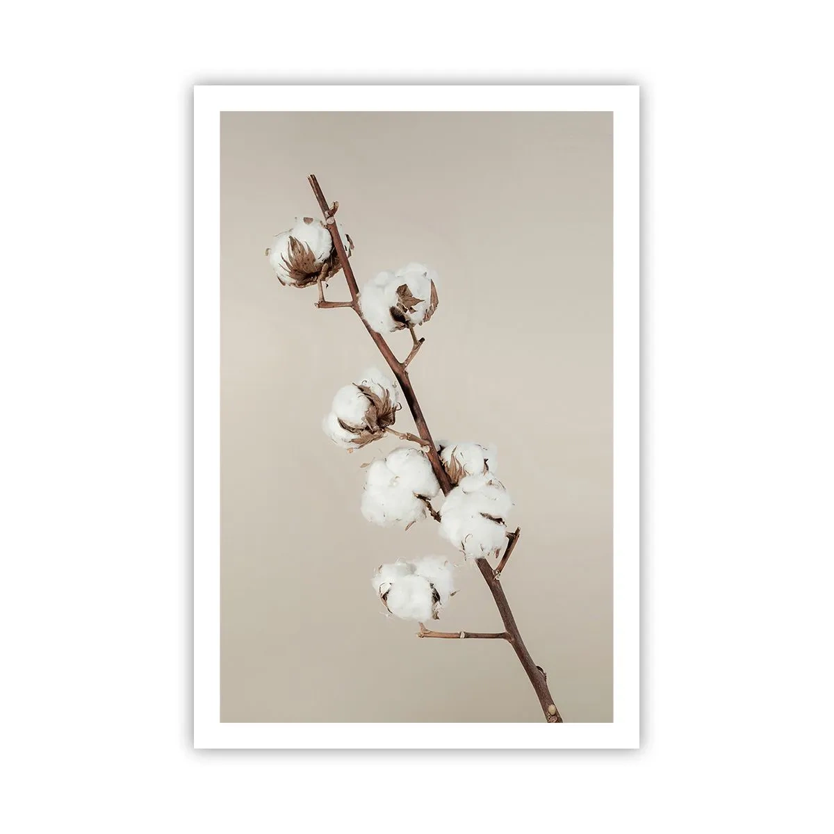 Poster - At the Heart of Softness - 61x91 cm